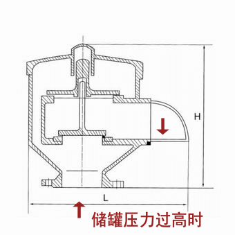 图片13.png